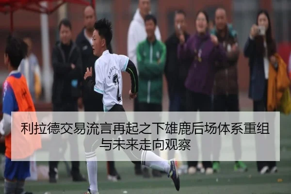 利拉德交易流言再起之下雄鹿后场体系重组与未来走向观察